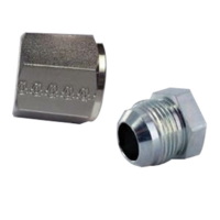 Cap & Plug Kits