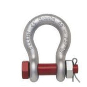 Bolt Pin Anchor Shackles