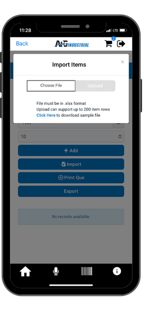 EZStock Import Items dialog showing file upload options