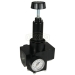 Wilkerson&reg; R40-0BRHG R40-0BRHG